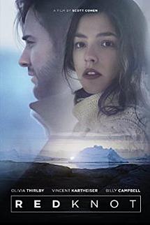 Red Knot izle