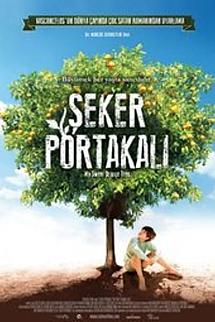 Şeker Portakalı izle