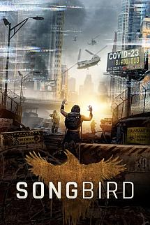 Korkunç Salgın izle