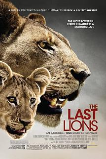 Son Aslanlar izle