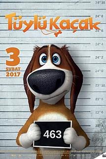 Tüylü Kaçak izle