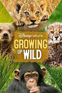 Vahşi Büyüyenler izle