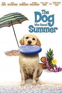 Yaz Köpeği izle