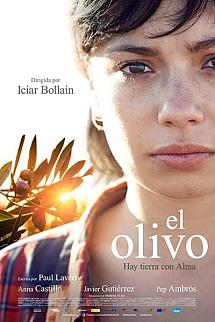 Zeytin Ağacı izle