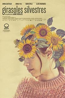 Girasoles silvestres izle