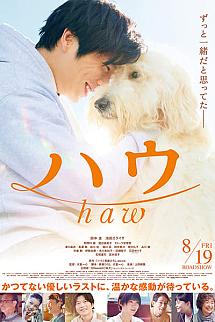 Haw izle