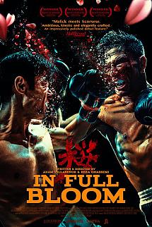 Dövüşçü izle