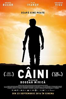Köpekler izle