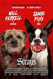 Kulağı Kesikler izle