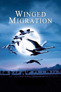 Kuşlar Kanatlı Uygarlık izle