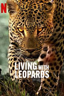 Leoparlarla YaÅŸam izle