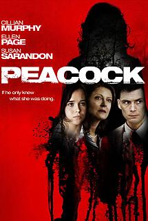 Kasabadaki Sır izle