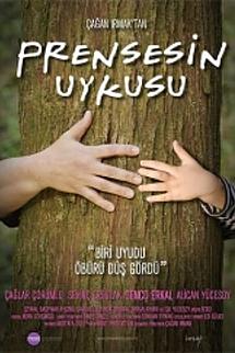 Prensesin Uykusu izle