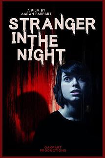 Stranger in the Night izle