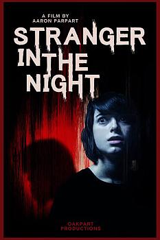 Stranger in the Night