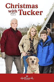 Tucker ile Noel izle