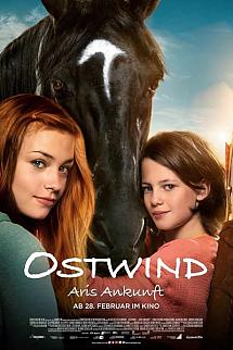 Windstorm 4: Ari'nin GeliÅŸi izle